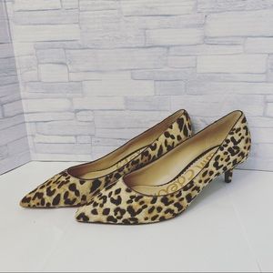 Sam Edelman Dori Leopard Print Kitten Heels NEW
